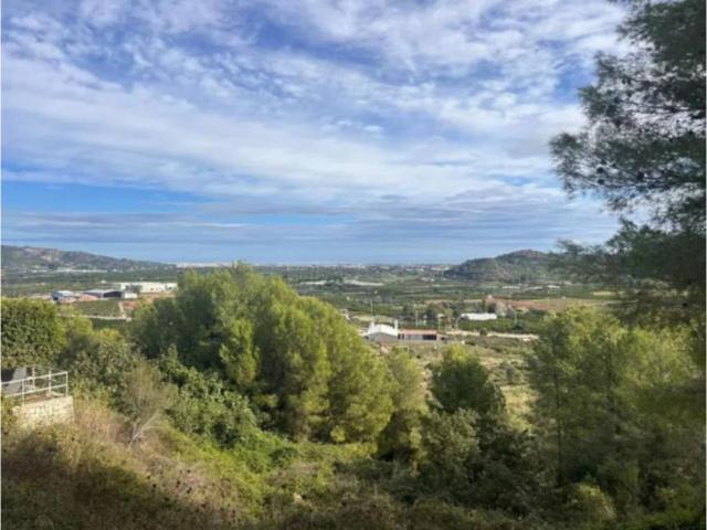 1 Dormitorio Casa Ador Valencia 101662592