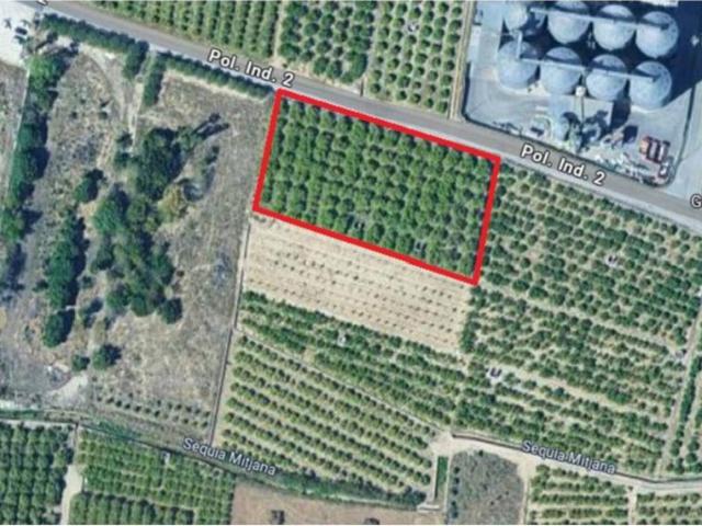 1 Dormitorio Casa Oliva Valencia 101662520