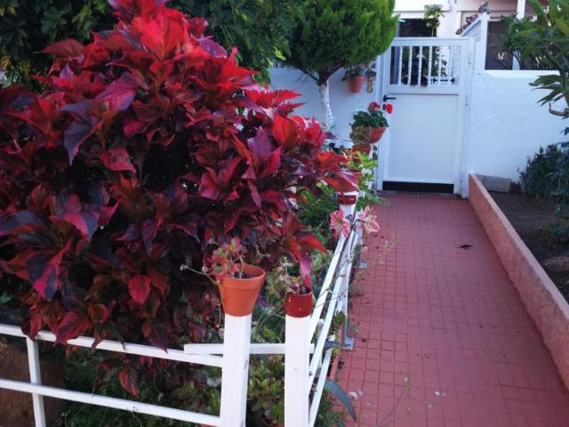 1 Dormitorio Casa Puerto De La Cruz Puerto De La Cruz 77937860