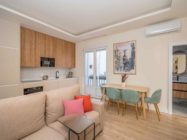 1 Dormitorio Apartamentos Madrid Comunidad De Madrid 103599544