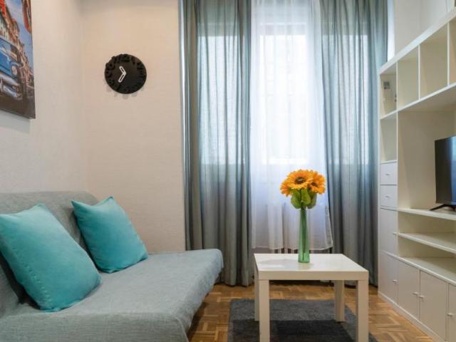 1 Dormitorio Apartamentos Madrid Madrid 104224921
