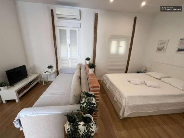 1 Dormitorio Apartamentos Madrid Madrid 104326812