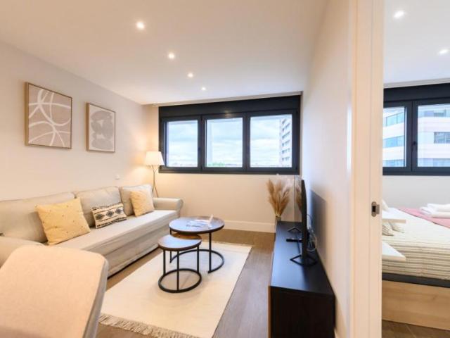 1 Dormitorio Apartamentos Madrid Madrid 104682073