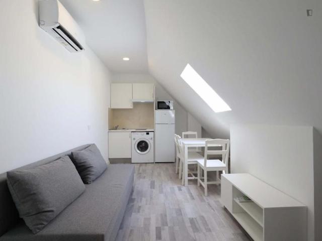 1 Dormitorio Apartamentos Madrid Madrid 104784247