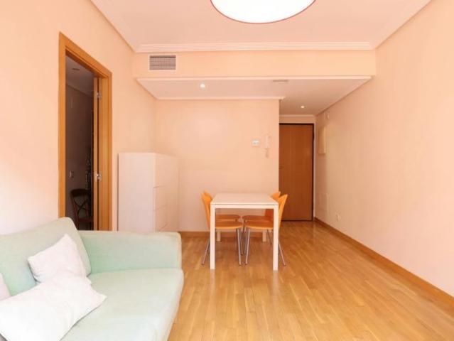 1 Dormitorio Apartamentos Madrid Madrid 104783093