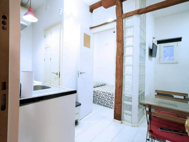 1 Dormitorio Apartamentos Madrid Madrid 100216286
