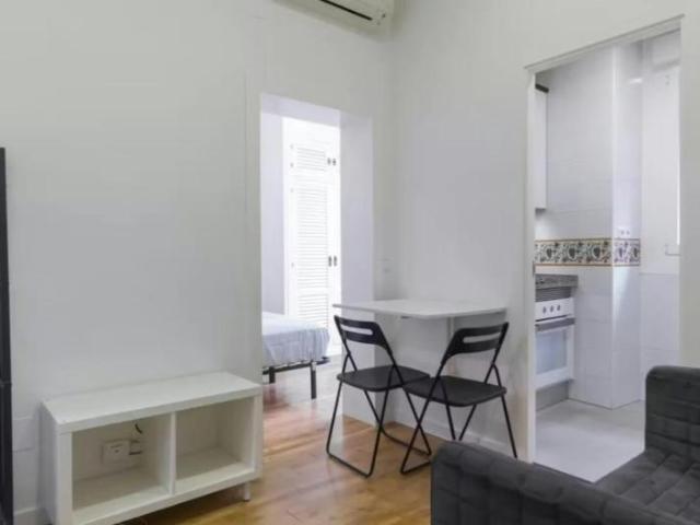 1 Dormitorio Apartamentos Madrid Madrid 100494267