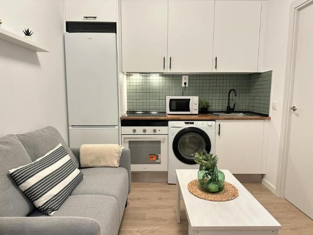 1 Dormitorio Apartamentos Madrid Madrid 100718549