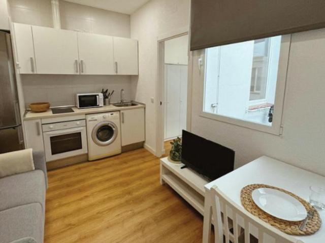 1 Dormitorio Apartamentos Madrid Madrid 100719676