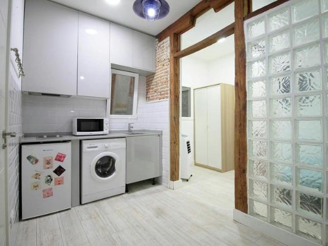 1 Dormitorio Apartamentos Madrid Madrid 100727094