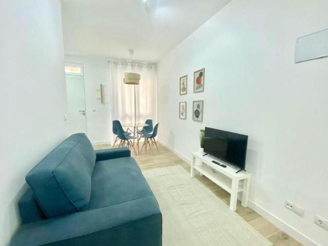 1 Dormitorio Apartamentos Madrid Madrid 101097146