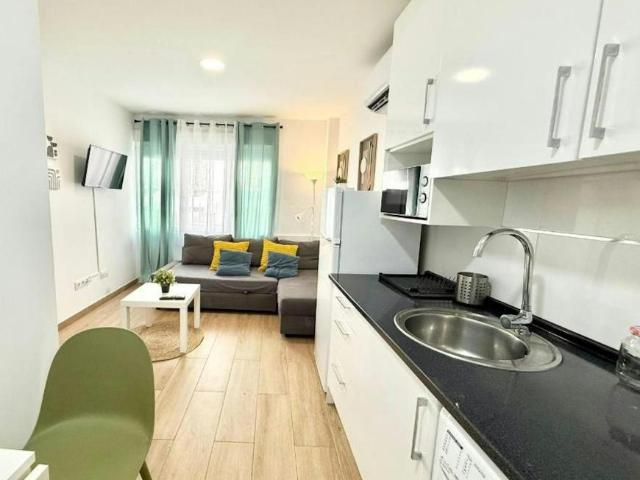 1 Dormitorio Apartamentos Madrid Madrid 101097158