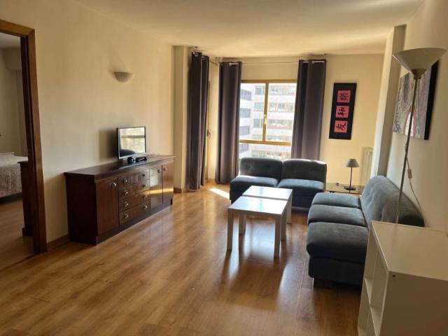 1 Dormitorio Apartamentos Madrid Madrid 101191054