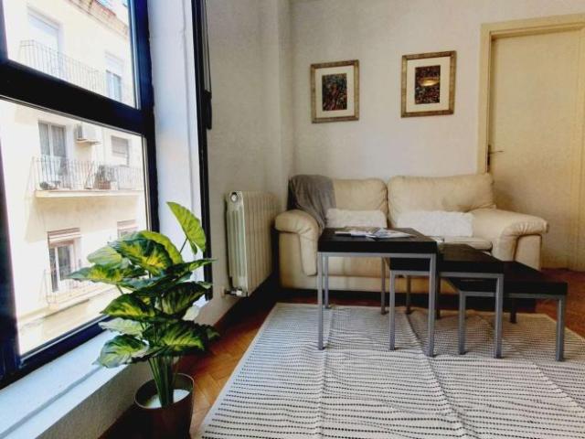 1 Dormitorio Apartamentos Madrid Madrid 101191101