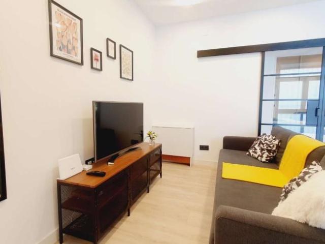 1 Dormitorio Apartamentos Madrid Madrid 101191544
