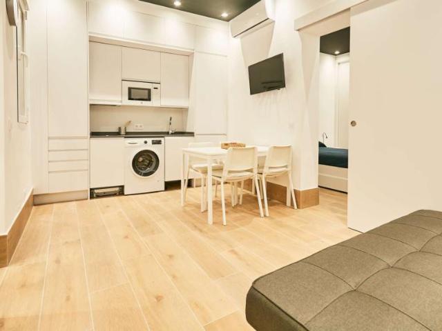 1 Dormitorio Apartamentos Madrid Madrid 101191677