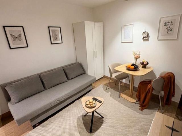 1 Dormitorio Apartamentos Madrid Madrid 101560873