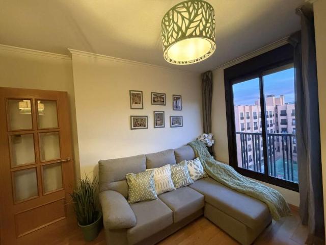 1 Dormitorio Apartamentos Madrid Madrid 101653632