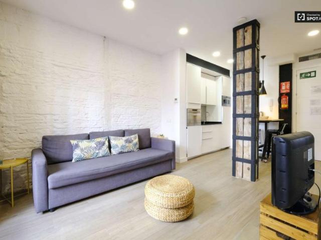 1 Dormitorio Apartamentos Madrid Madrid 101670702