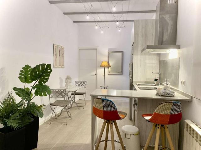 1 Dormitorio Apartamentos Madrid Madrid 101670750