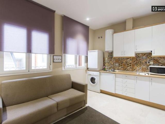 1 Dormitorio Apartamentos Madrid Madrid 101671135