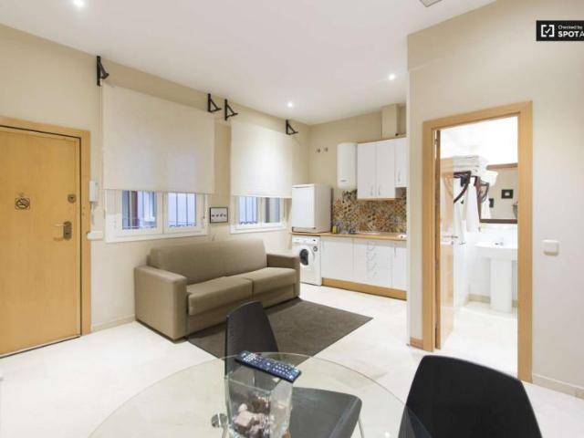 1 Dormitorio Apartamentos Madrid Madrid 101671200