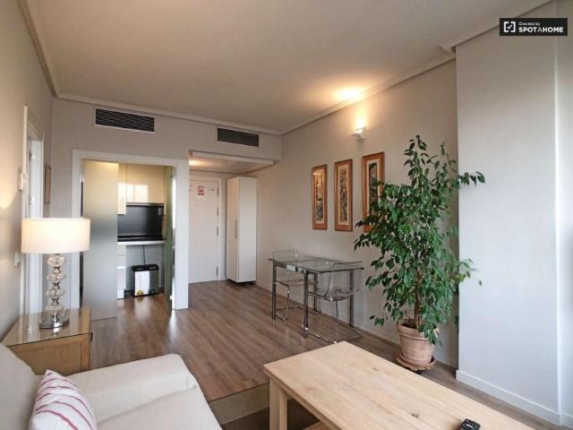 1 Dormitorio Apartamentos Madrid Madrid 101671262
