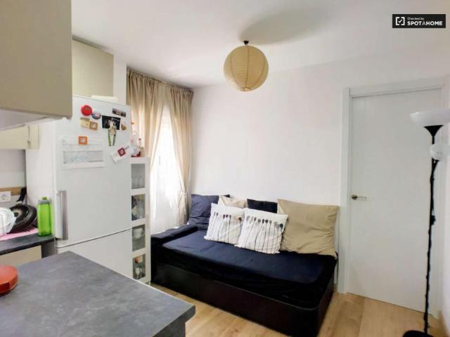1 Dormitorio Apartamentos Madrid Madrid 101672250