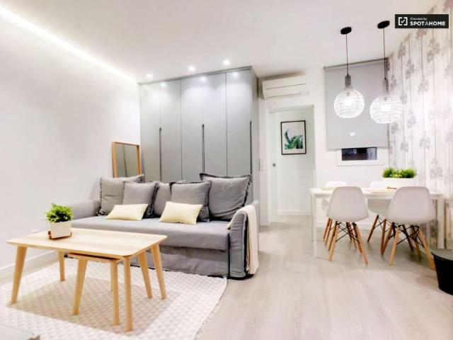 1 Dormitorio Apartamentos Madrid Madrid 101692925