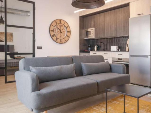 1 Dormitorio Apartamentos Madrid Madrid 101735040