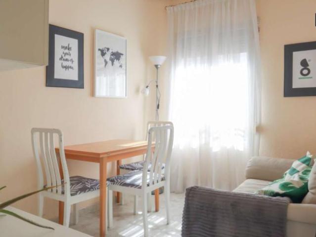 1 Dormitorio Apartamentos Madrid Madrid 101736912