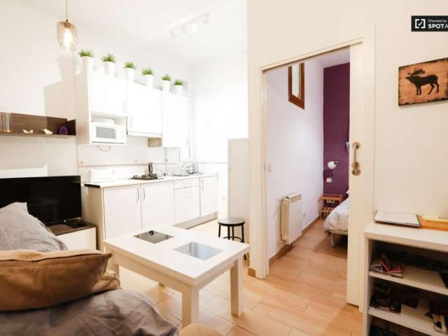 1 Dormitorio Apartamentos Madrid Madrid 101737014