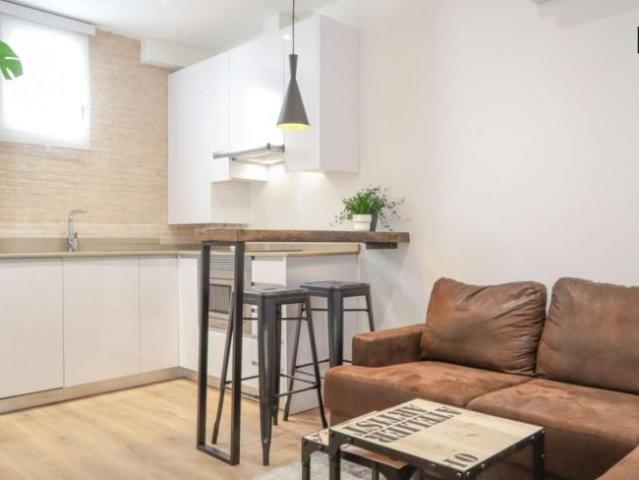 1 Dormitorio Apartamentos Madrid Madrid 101737740