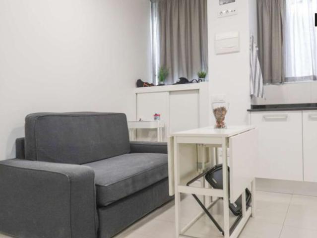 1 Dormitorio Apartamentos Madrid Madrid 101738409