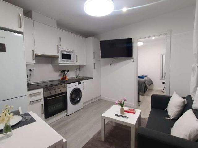 1 Dormitorio Apartamentos Madrid Madrid 101731325