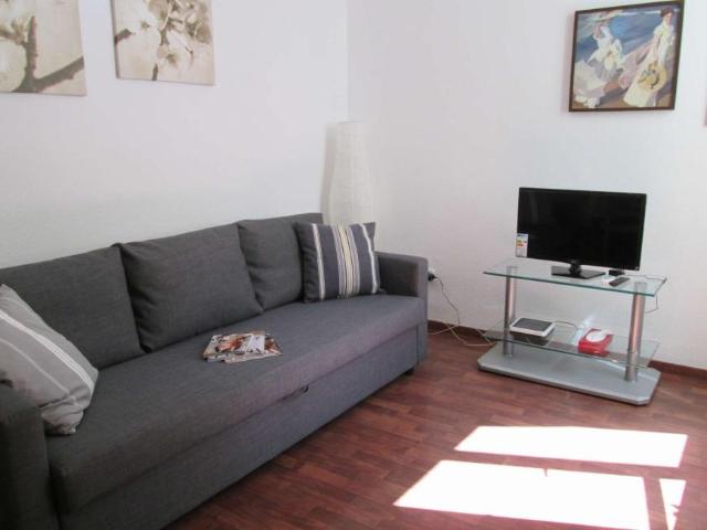 1 Dormitorio Apartamentos Madrid Madrid 101731352