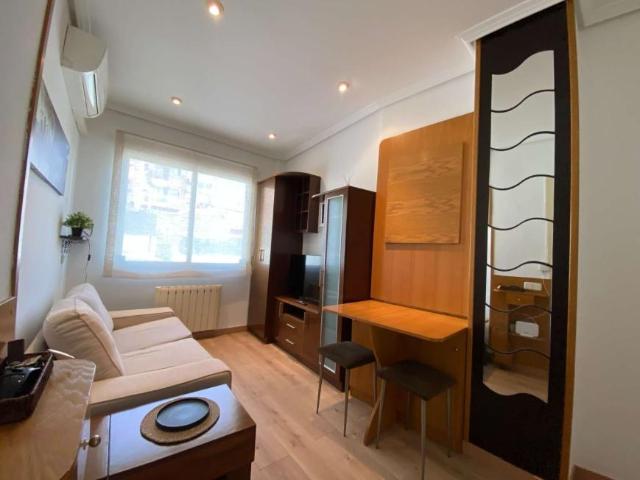 1 Dormitorio Apartamentos Madrid Madrid 101733450