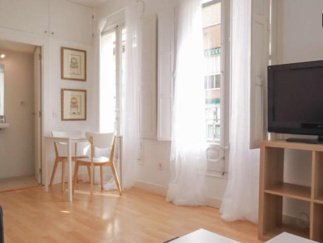 1 Dormitorio Apartamentos Madrid Madrid 101765627
