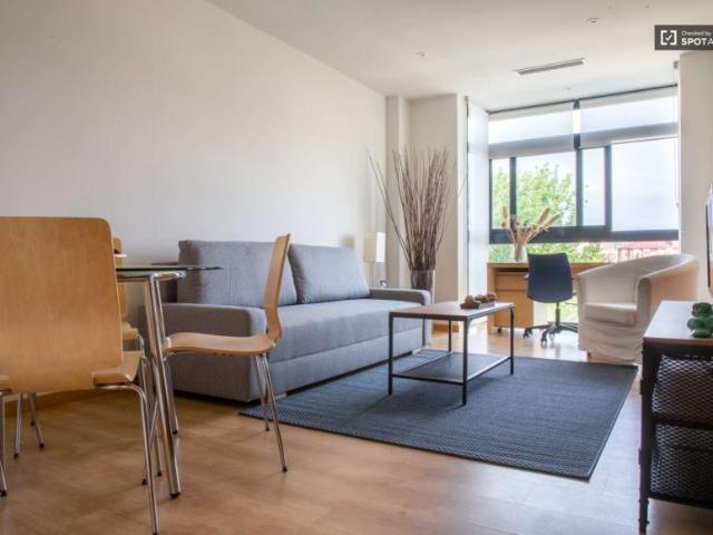 1 Dormitorio Apartamentos Madrid Madrid 101770727