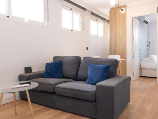 1 Dormitorio Apartamentos Madrid Madrid 101771809