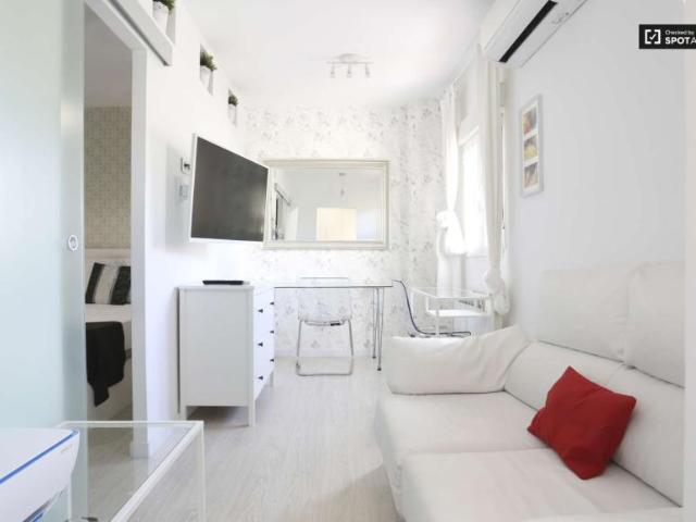 1 Dormitorio Apartamentos Madrid Madrid 101771850