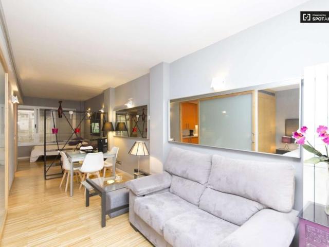 1 Dormitorio Apartamentos Madrid Madrid 101814216