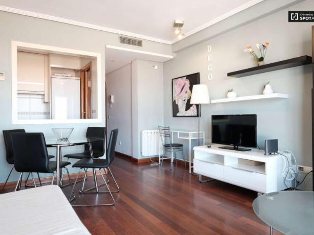 1 Dormitorio Apartamentos Madrid Madrid 101814502