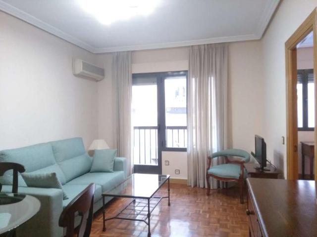 1 Dormitorio Apartamentos Madrid Madrid 101816400
