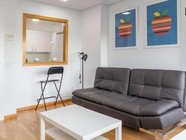 1 Dormitorio Apartamentos Madrid Madrid 101817694