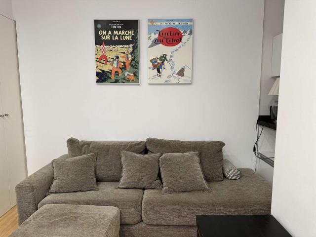 1 Dormitorio Apartamentos Madrid Madrid 101817919