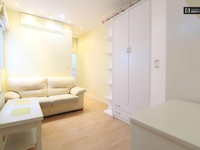 1 Dormitorio Apartamentos Madrid Madrid 101819264