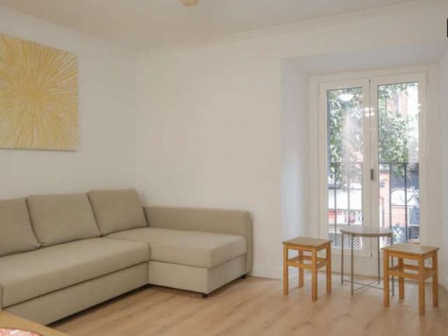 1 Dormitorio Apartamentos Madrid Madrid 101819413