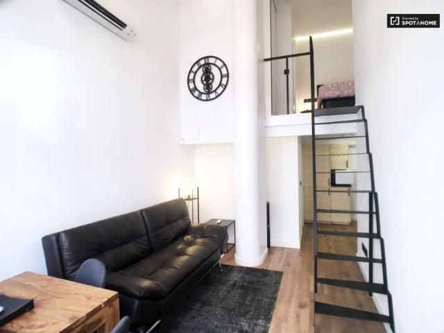 1 Dormitorio Apartamentos Madrid Madrid 101811398