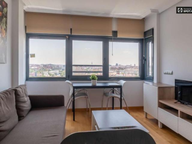 1 Dormitorio Apartamentos Madrid Madrid 101813349